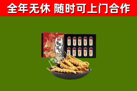 台前县回收冬虫夏草价格