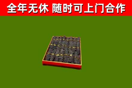 台前县回收海参